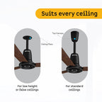 atomberg Studio Nexus Smart 900mm/1200mm BLDC Ceiling Fan with IoT & Remote Control | BEE 5-star | Newly Launched | High Air Delivery with Moonbeam Light | Low noise | 5 Year Warranty